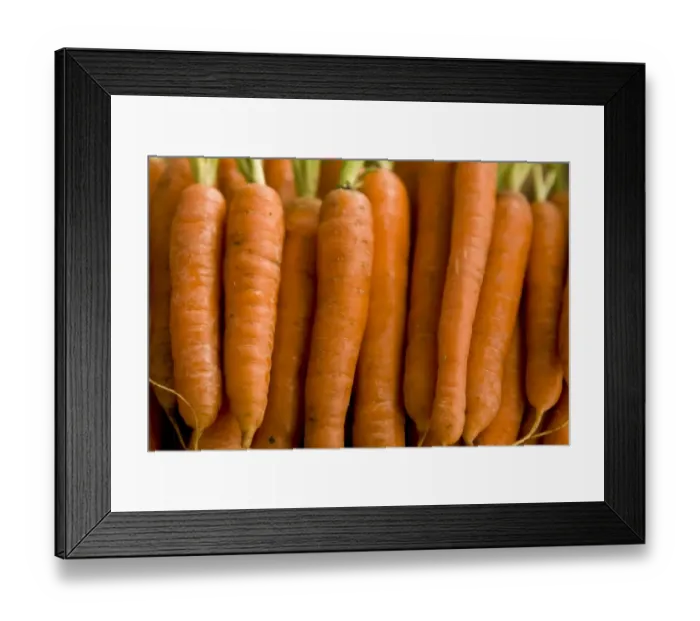 Framed Print : Close up of carrots lined up. credit: Marie-Louise Avery / thePictureKitchen / TopFoto Framed Print : Close up of carrots lined up. credit: Marie-Louise Avery / thePictureKitchen / TopFoto
