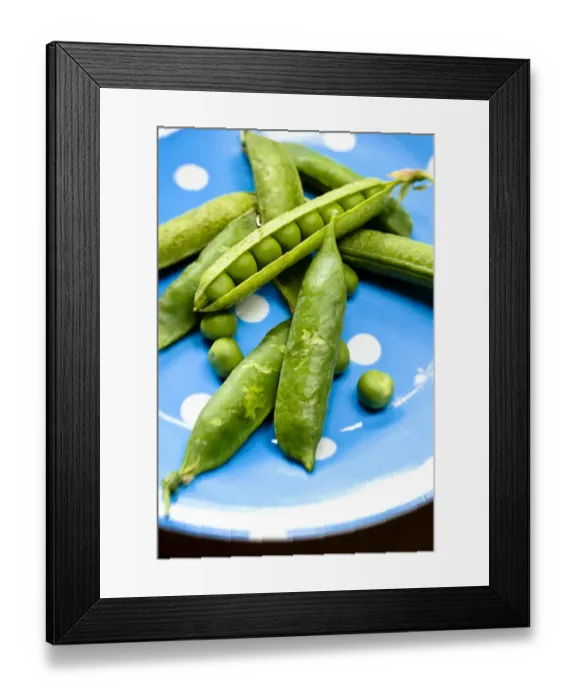 Framed Print : Fresh garden peas in their pods on blue spotted plate credit: Marie-Louise Avery Framed Print : Fresh garden peas in their pods on blue spotted plate credit: Marie-Louise Avery