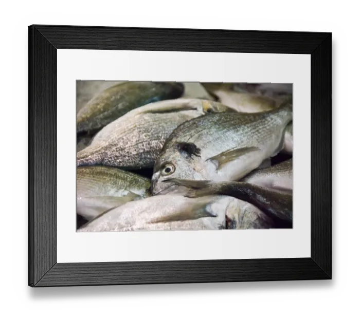 Framed Print : Fresh bream on slab of fishminger counter in covered market, Limassol, Cyprus credit Framed Print : Fresh bream on slab of fishminger counter in covered market, Limassol, Cyprus credit