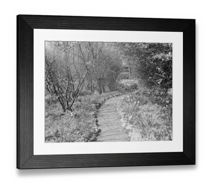 Framed Print : Mr Swans house and garden at 21 Rectory Lane in Sidcup, Kent. 1939 Framed Print : Mr Swans house and garden at 21 Rectory Lane in Sidcup, Kent. 1939