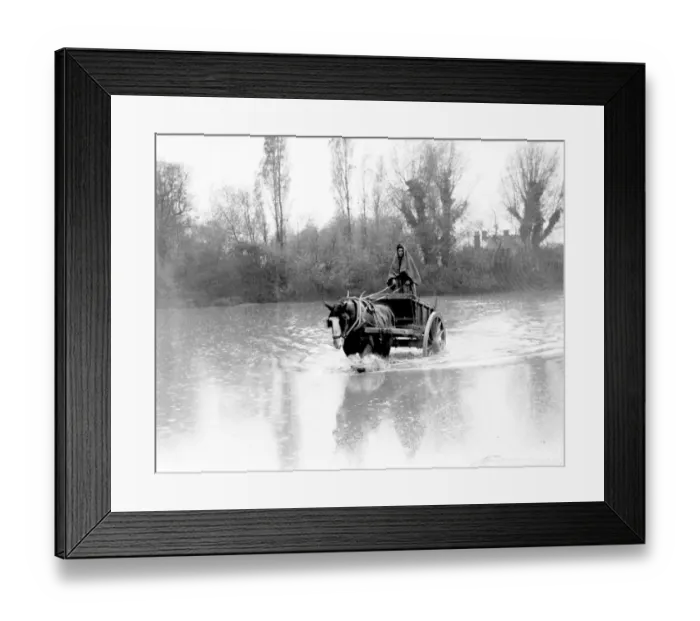 Framed Print : A farm labourer in Orpington Kent 1935 driving his horse and cart into the water