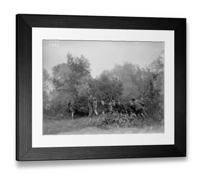 Framed Print : Boys preparing the bonfire for Guy Fawkes night at Chislehurst, Kent Framed Print : Boys preparing the bonfire for Guy Fawkes night at Chislehurst, Kent