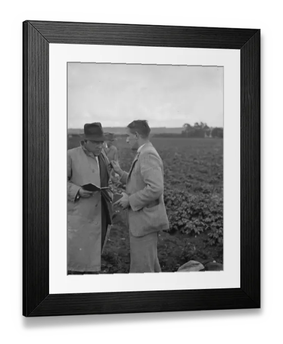 Framed Print : Potato demonstration, Cottons farm. Mr J N Sharrock holding the scales. Mr C Framed Print : Potato demonstration, Cottons farm. Mr J N Sharrock holding the scales. Mr C