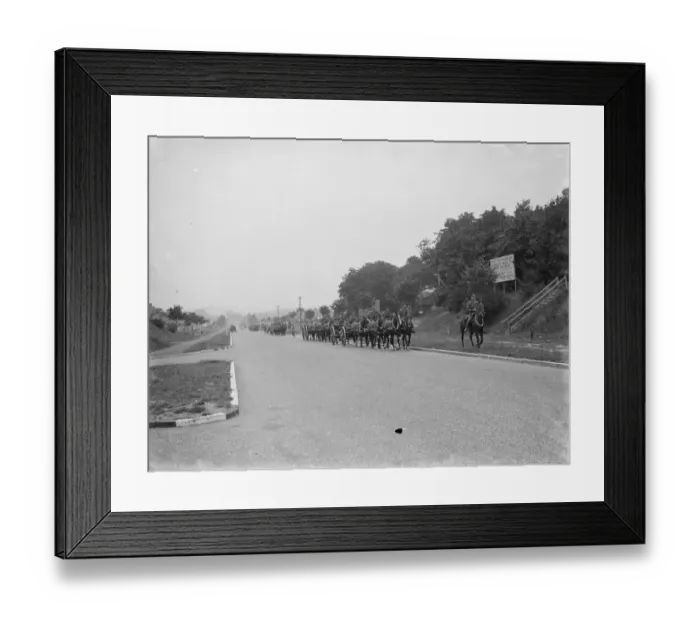 Framed Print : Army manoeuvers in Orpingon, Kent. Horses draw artillery pieces Framed Print : Army manoeuvers in Orpingon, Kent. Horses draw artillery pieces