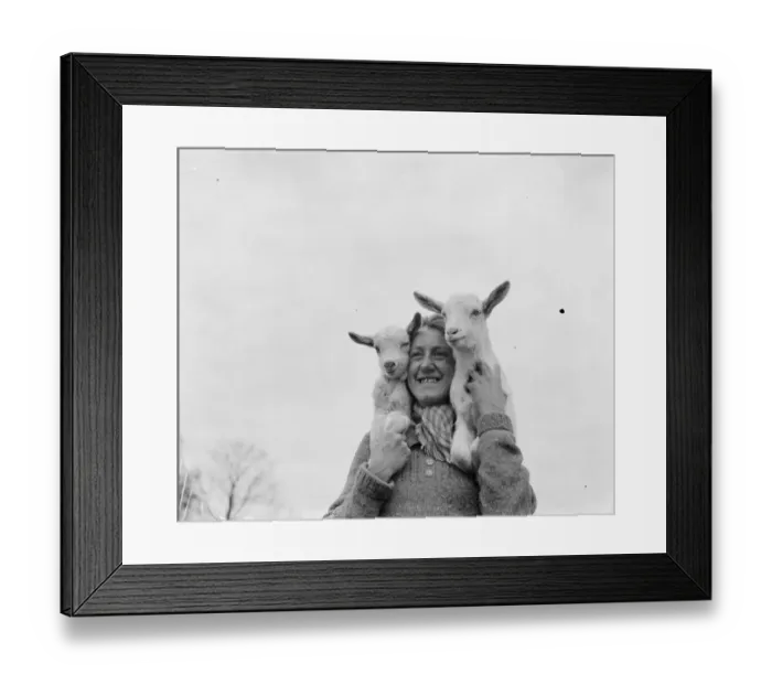 Framed Print : Connie Gurney holding a pair of kids at a goat farm in birling, Kent, 1939