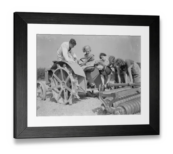 Framed Print : Womens Land Army in training on the fields of Wye, Kent. Here Land Girls are Framed Print : Womens Land Army in training on the fields of Wye, Kent. Here Land Girls are