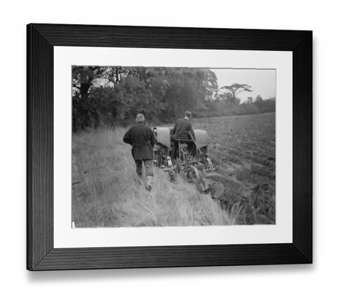 Framed Print : A tractor ploughing a cherry orchard in Charlton, London. 1939 Framed Print : A tractor ploughing a cherry orchard in Charlton, London. 1939