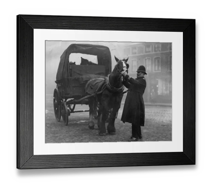 Framed Print : Policeman Constable Kendal Dent East End of London inspecting a horses teeth to