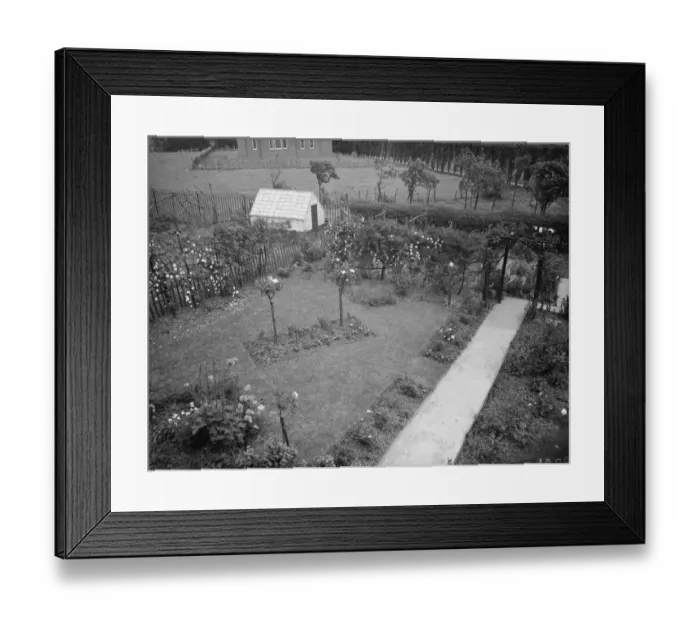 Framed Print : Mr J H Smiths garden in Mottigham, Kent. 1938 Framed Print : Mr J H Smiths garden in Mottigham, Kent. 1938
