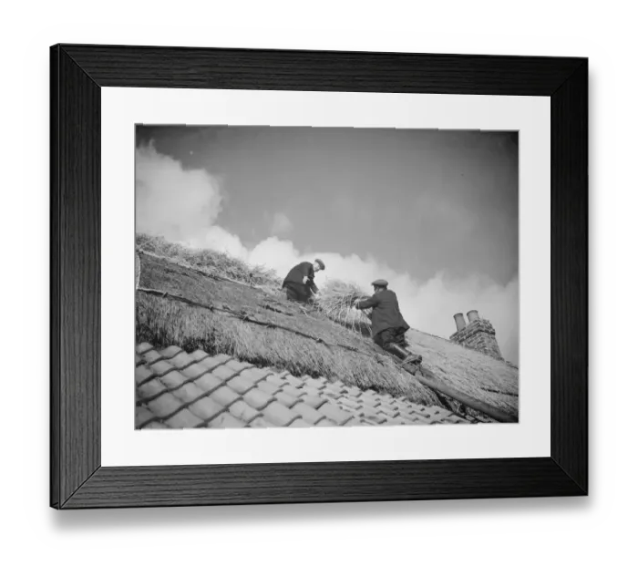 Framed Print : Men work on a tiled roof putting thatching on the roof of a cottage in Orpington Framed Print : Men work on a tiled roof putting thatching on the roof of a cottage in Orpington