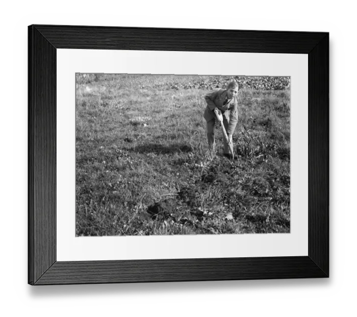 Framed Print : Stanley Dack of Dartford. 1935 Framed Print : Stanley Dack of Dartford. 1935