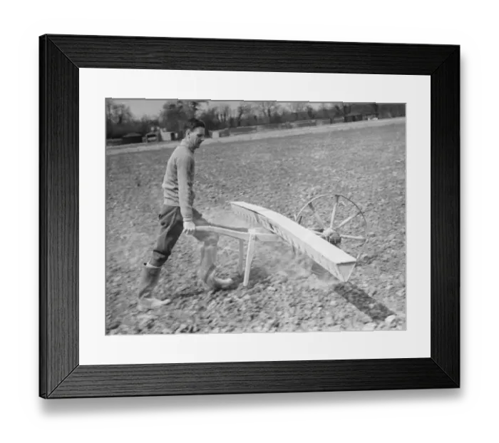 Framed Print : Farmer using a Coopers Drymac seed barrow. 1937