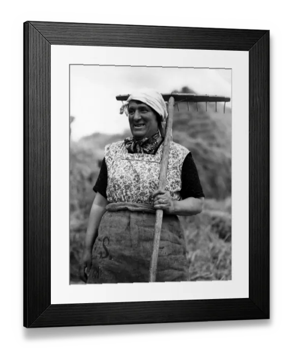 Framed Print : An elderly women, working on the farm, takes a break from raking the field Framed Print : An elderly women, working on the farm, takes a break from raking the field