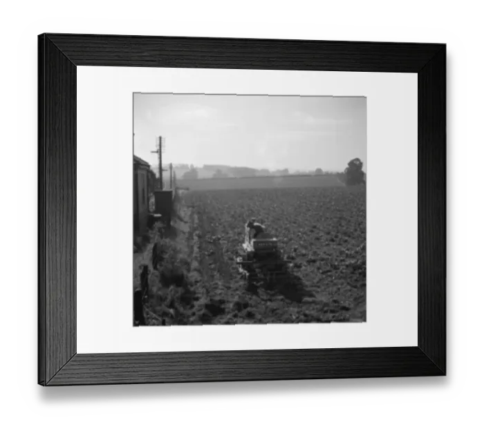 Framed Print : A farmer on a tractor ploughing a field. 1936 Framed Print : A farmer on a tractor ploughing a field. 1936