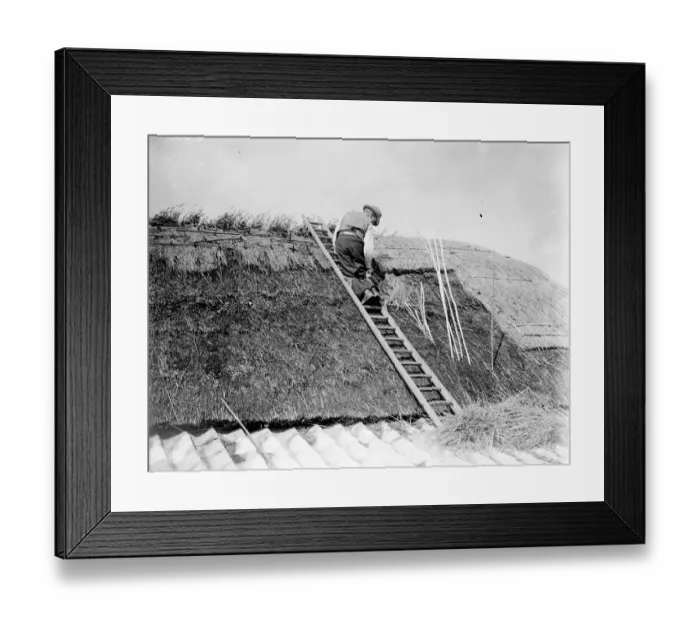 Framed Print : Thatching Perry Street cottages. 1935 Framed Print : Thatching Perry Street cottages. 1935