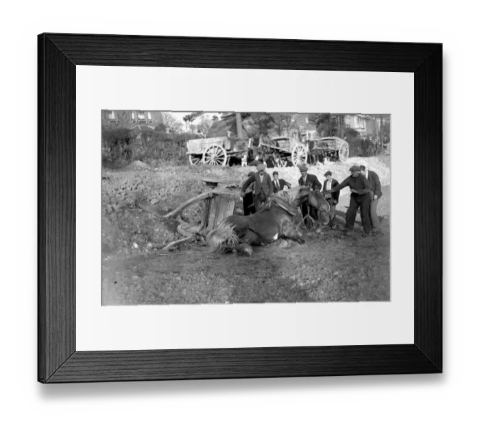 Framed Print : Horse mishap, overturned cart, fallen down horse (Sidcup Hill). 1934 Framed Print : Horse mishap, overturned cart, fallen down horse (Sidcup Hill). 1934