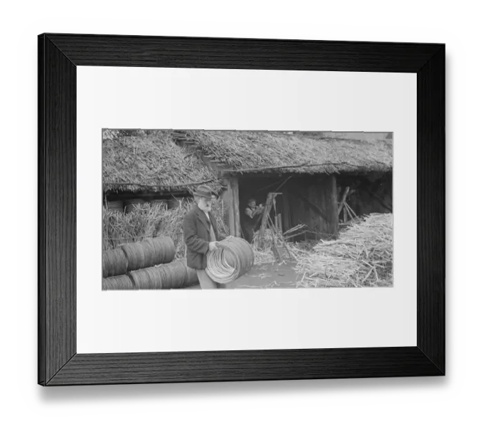 Framed Print : Rural farmers build basket hoops in Paddock Wood. 1936 Rural farmers build in Framed Print : Rural farmers build basket hoops in Paddock Wood. 1936 Rural farmers build in