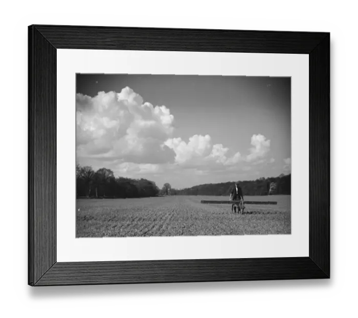 Framed Print : A farmer boadcasting clovers on a field in North Cray, Kent. 1939 Framed Print : A farmer boadcasting clovers on a field in North Cray, Kent. 1939