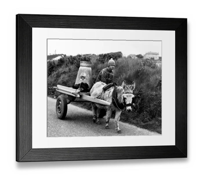 Framed Print : No Change Here... except for the wheels. Donkey and trap, with wheels converted Framed Print : No Change Here... except for the wheels. Donkey and trap, with wheels converted
