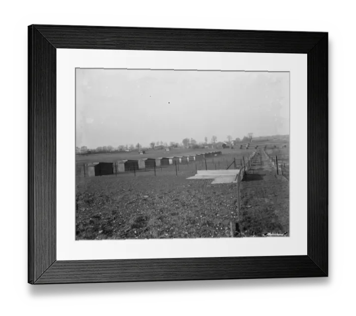 Framed Print : A view of the pigs breeding houses at Tripes Farm, Orpington, Kent. 1936 Framed Print : A view of the pigs breeding houses at Tripes Farm, Orpington, Kent. 1936