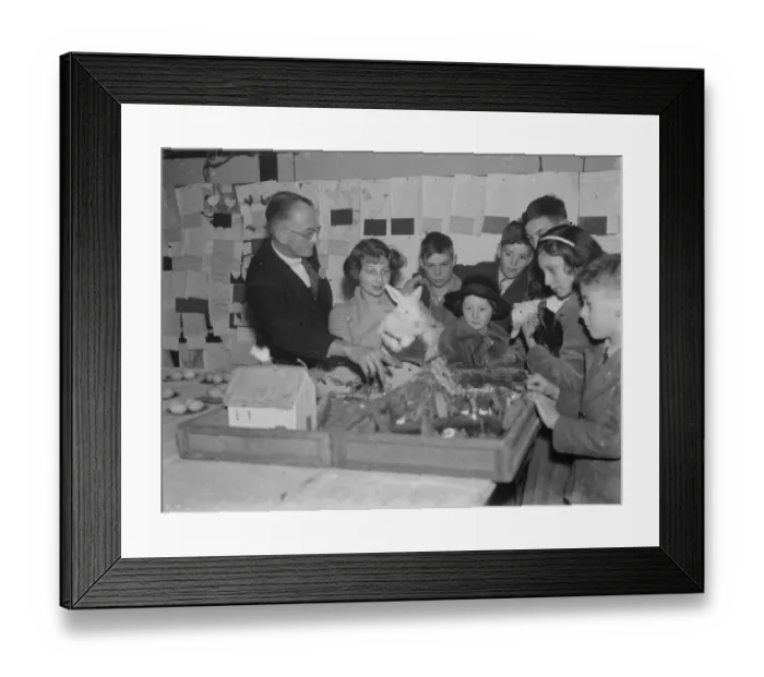 Framed Print : Poultry show at Chislehurst, Kent. 1936 Framed Print : Poultry show at Chislehurst, Kent. 1936