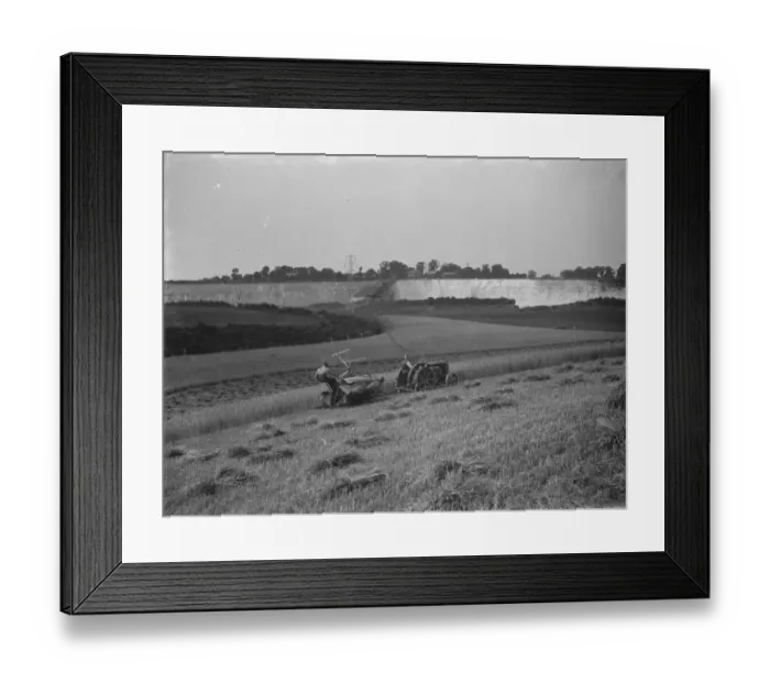 Framed Print : Harvesting wheat. 1937 Framed Print : Harvesting wheat. 1937