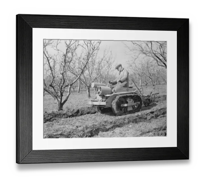 Framed Print : The Ransomes from Ipswich demonstrate their MG2 Motor Garden Cultivator in East Malling Framed Print : The Ransomes from Ipswich demonstrate their MG2 Motor Garden Cultivator in East Malling