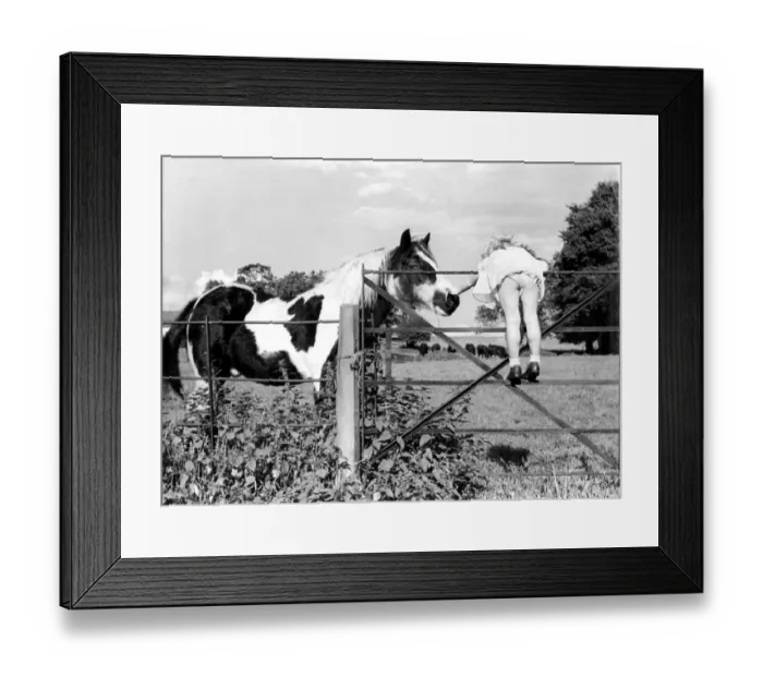Framed Print : Rowena Taylor and her pet horse Framed Print : Rowena Taylor and her pet horse