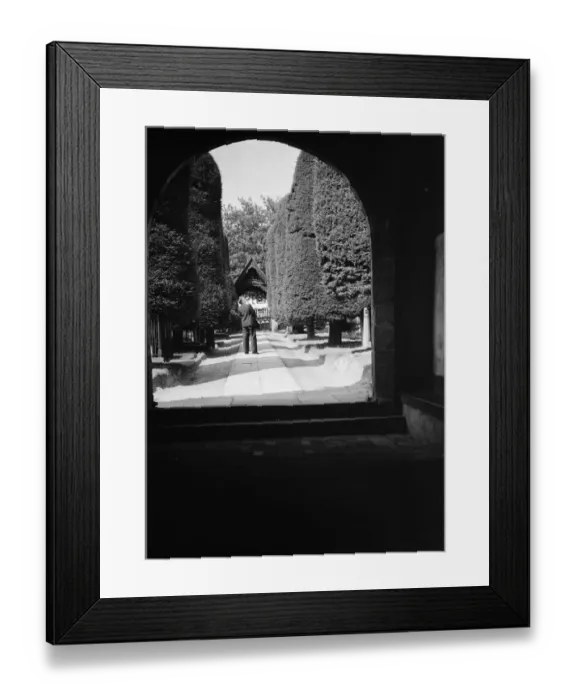Framed Print : Yew trees, Brenchley. 1937
