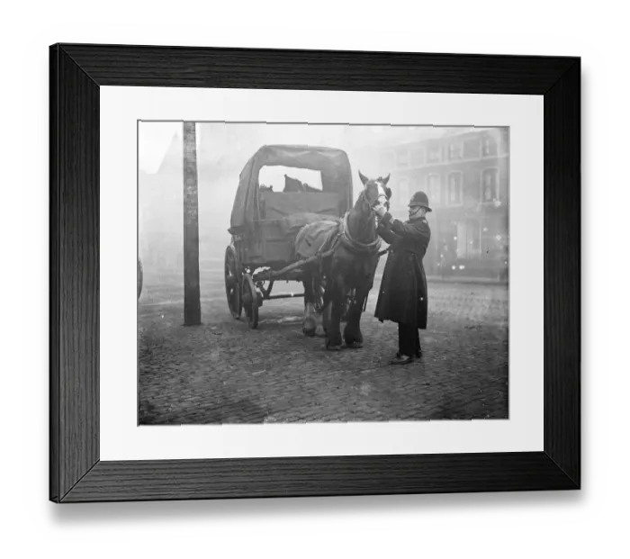 Framed Print : Policemen inspect a horse. (PC Dent) 1933