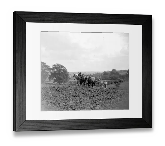 Framed Print : Ploughing Scene. 1934 Framed Print : Ploughing Scene. 1934