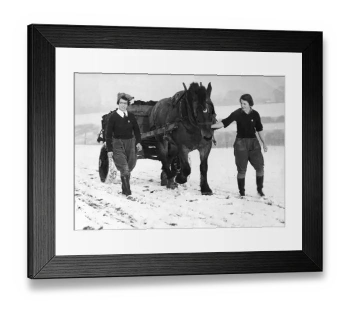 Framed Print : Cold Work for Land Girls Two land girls on a farm at Hartley Kent muck carting across