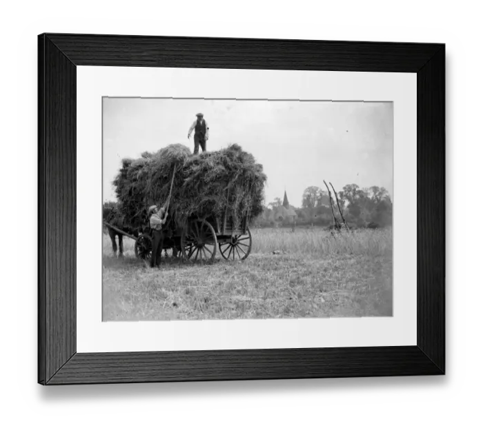 Framed Print : Harvest Scene, Foots Gray. 1934