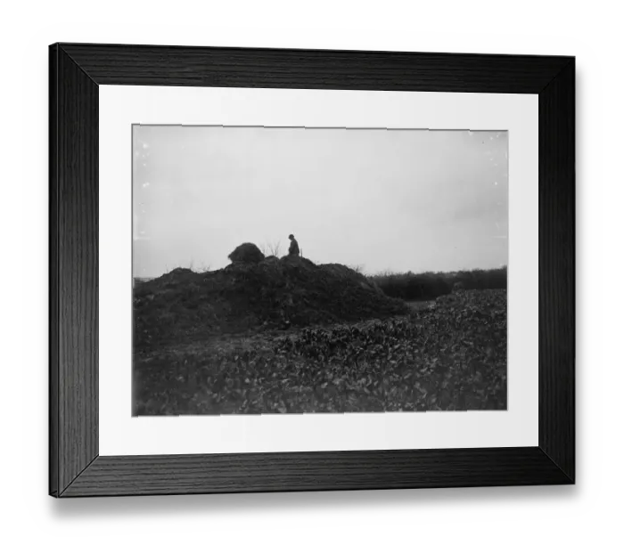 Framed Print : Muck heap. 1935 Framed Print : Muck heap. 1935