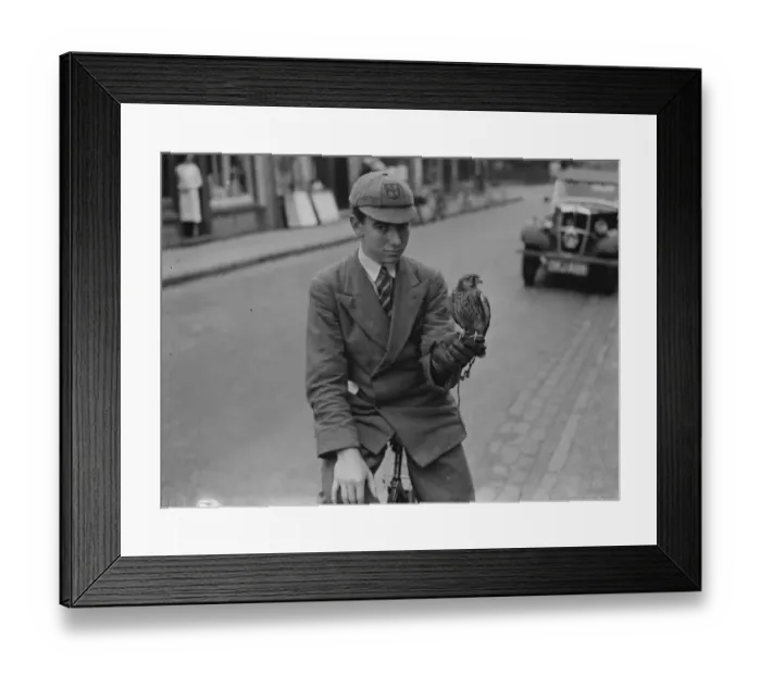 Framed Print : Boy with tame bird, Sidcup. 1937 Framed Print : Boy with tame bird, Sidcup. 1937