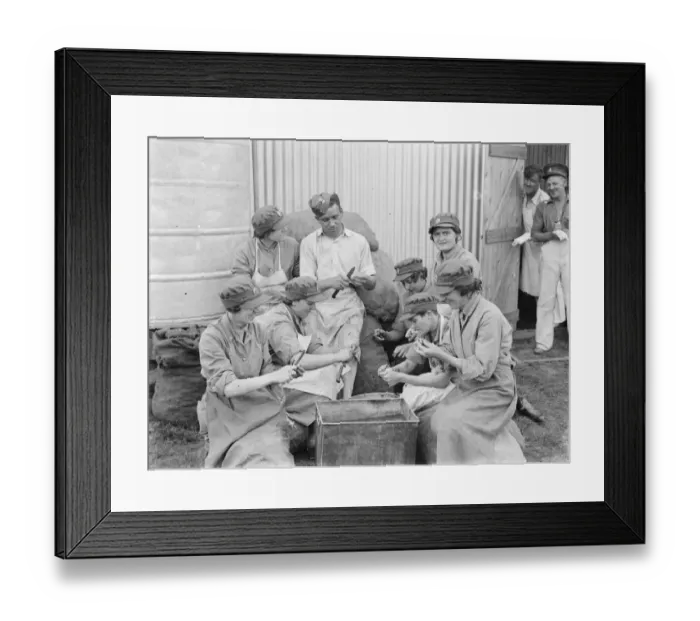 Framed Print : Territorial Army recruits at camp in Lympne, Kent. Preparing dinner Framed Print : Territorial Army recruits at camp in Lympne, Kent. Preparing dinner