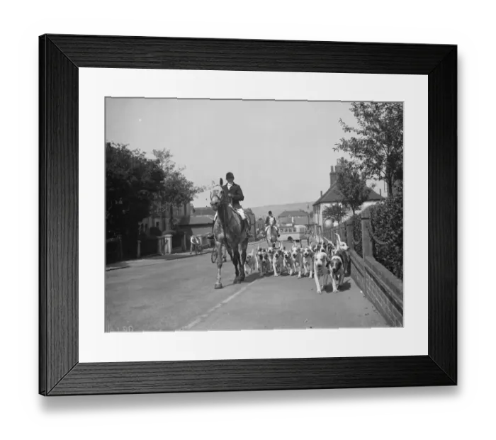 Framed Print : West Kent fox hounds in Sevenoaks. 1938 Framed Print : West Kent fox hounds in Sevenoaks. 1938
