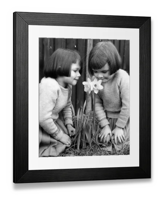 Framed Print : Two little girls smelling a daffodil Lynne and Lesley Jones from Orpington Kent 1958 Framed Print : Two little girls smelling a daffodil Lynne and Lesley Jones from Orpington Kent 1958