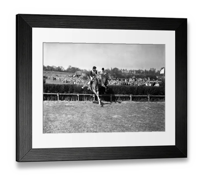 Framed Print : 9 May 1954 Neck and neck over the last are Mrs. G Framed Print : 9 May 1954 Neck and neck over the last are Mrs. G