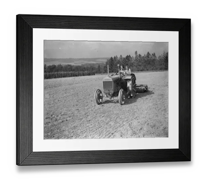 Framed Print : Womens Land Army in training on the fields of Wye, Kent. Here Land Girls are Framed Print : Womens Land Army in training on the fields of Wye, Kent. Here Land Girls are