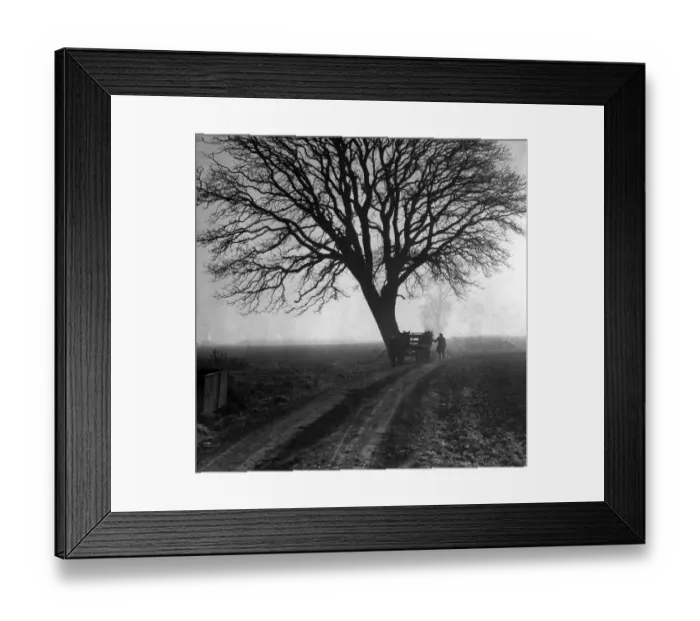 Framed Print : Horse and cart with farmer under tree during WW2 - England A TopFoto