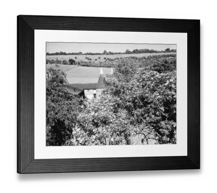 Framed Print : Elderberry blossom in Maplescombe make a pretty foreground to the oast houses. 1936 Framed Print : Elderberry blossom in Maplescombe make a pretty foreground to the oast houses. 1936