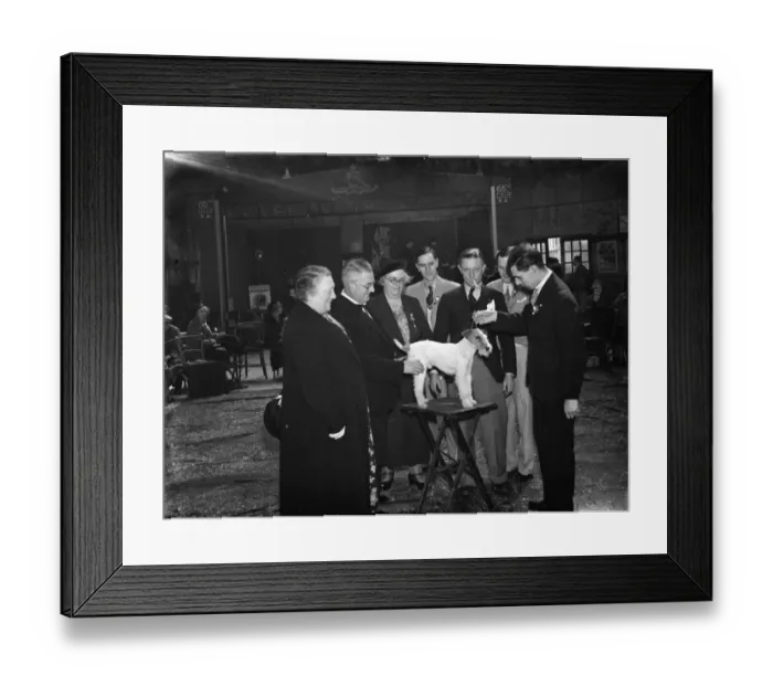 Framed Print : The Mayor and Mayoress of Woolwich at the Peoples Dispensary for Sick Animals ( Framed Print : The Mayor and Mayoress of Woolwich at the Peoples Dispensary for Sick Animals (
