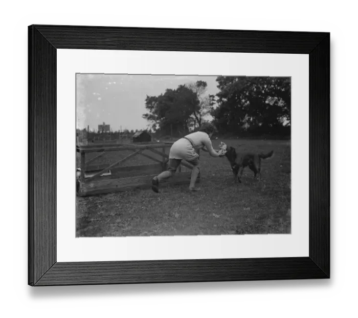 Framed Print : A woman and her dog retrieves chickens. 1935 Framed Print : A woman and her dog retrieves chickens. 1935