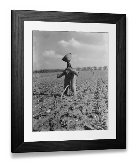 Framed Print : A scarecrow in a field. 1937 Framed Print : A scarecrow in a field. 1937