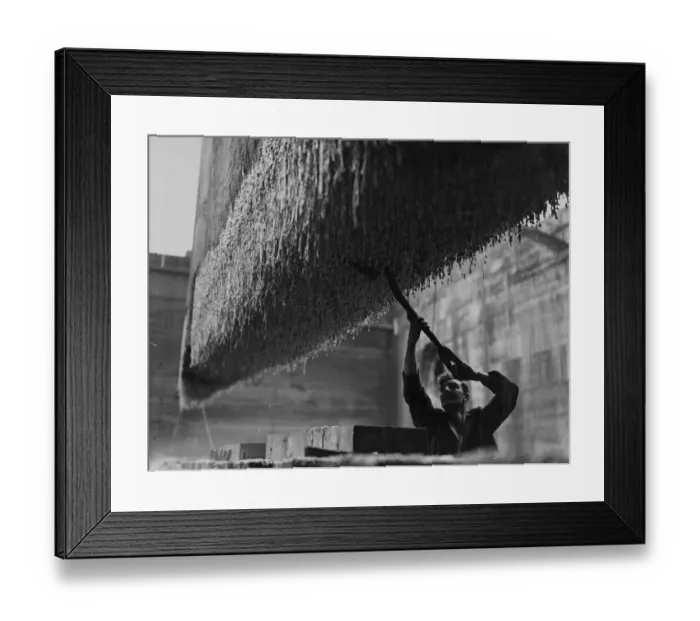 Framed Print : The Queen Elizabeth in dry dock. After hold-up at 12 hours due to unfavourable weather