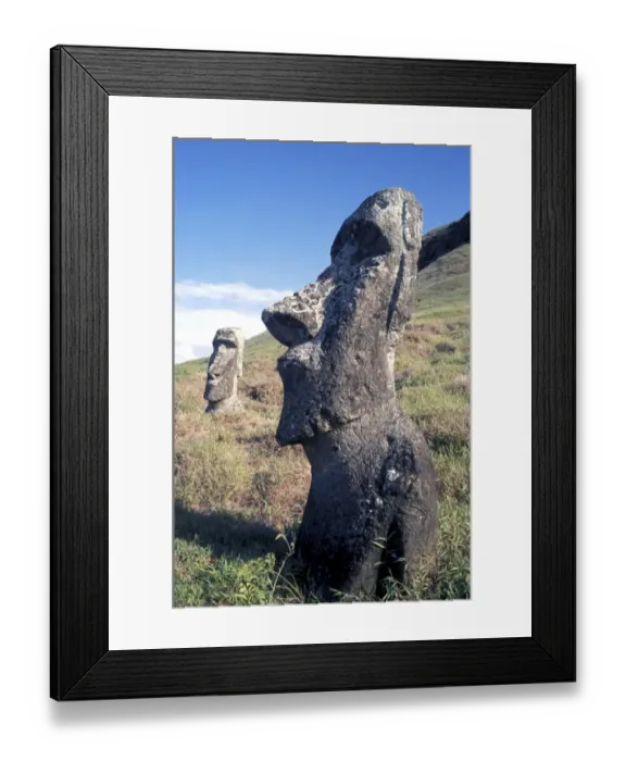 Framed Print : EASTER ISLAND - One of the upright giant statues near the ancient volcanic quarry Framed Print : EASTER ISLAND - One of the upright giant statues near the ancient volcanic quarry