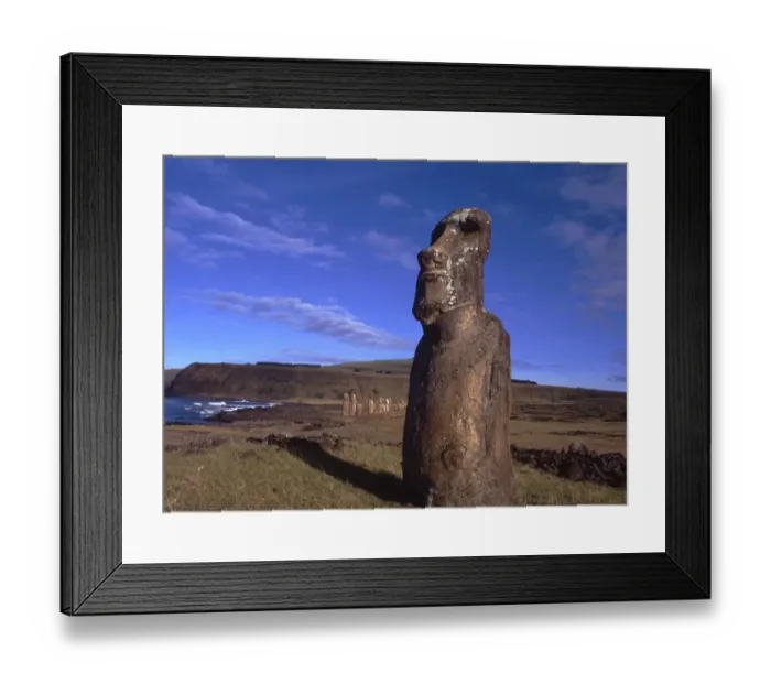 Framed Print : Easter Island. One of the upright giant staues near the ancient volcanic quarry Framed Print : Easter Island. One of the upright giant staues near the ancient volcanic quarry
