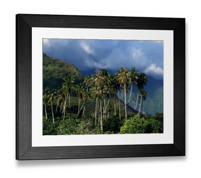 Framed Print : Polynesia Tahiti Moorea