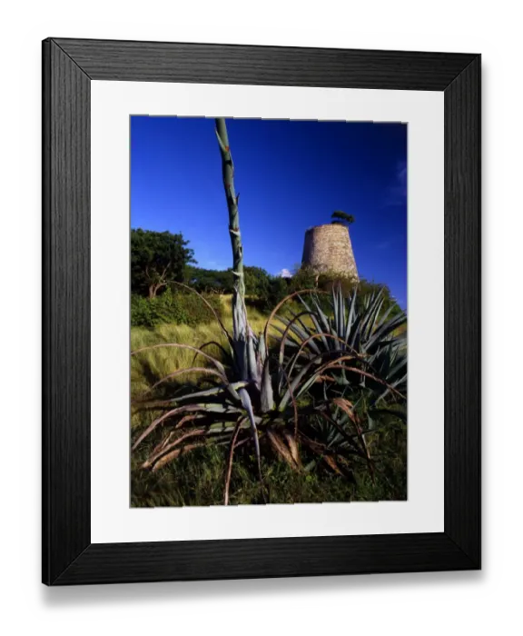 Framed Print : West indies Antigua ruins of a sugar factory Framed Print : West indies Antigua ruins of a sugar factory